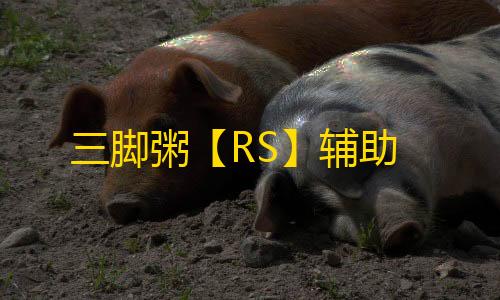 三脚粥【RS】辅助