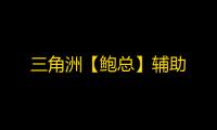 三角洲【鲍总】辅助