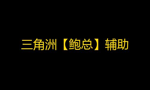 三角洲【鲍总】辅助