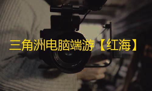 三角洲电脑端游【红海】辅助