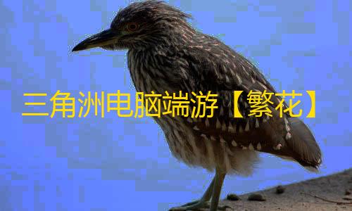 三角洲电脑端游【繁花】辅助