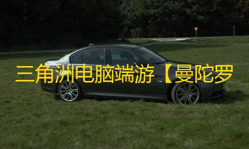 三角洲电脑端游【曼陀罗】辅助
