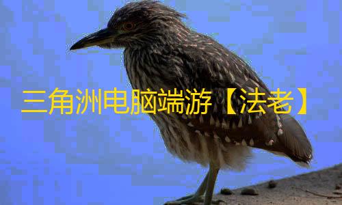 三角洲电脑端游【法老】辅助