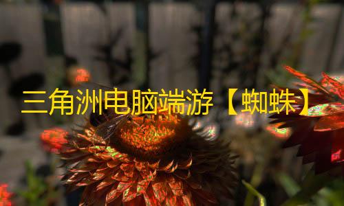 三角洲电脑端游【蜘蛛】辅助