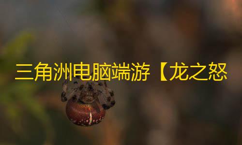 三角洲电脑端游【龙之怒】辅助