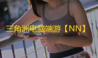 三角洲电脑端游【NN】辅助