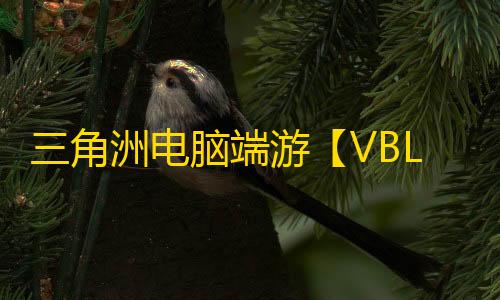 三角洲电脑端游【VBL】辅助