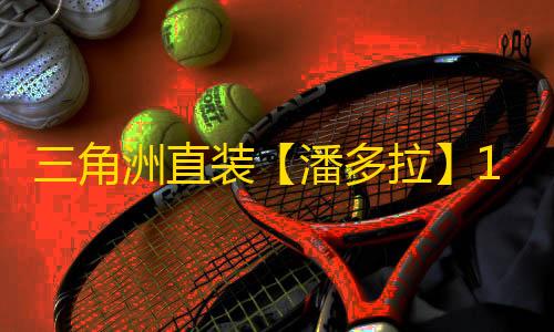 三角洲直装【潘多拉】1.31已更新s4-辅助