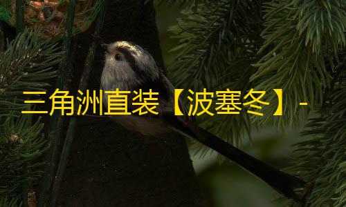 三角洲直装【波塞冬】-辅助