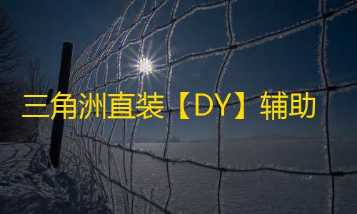 三角洲直装【DY】辅助