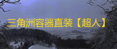 三角洲容器直装【超人】辅助