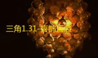 三角1.31-喜鹊直装-辅助